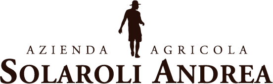 Logo Scuro Icona