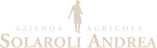 Logo bianco Icona