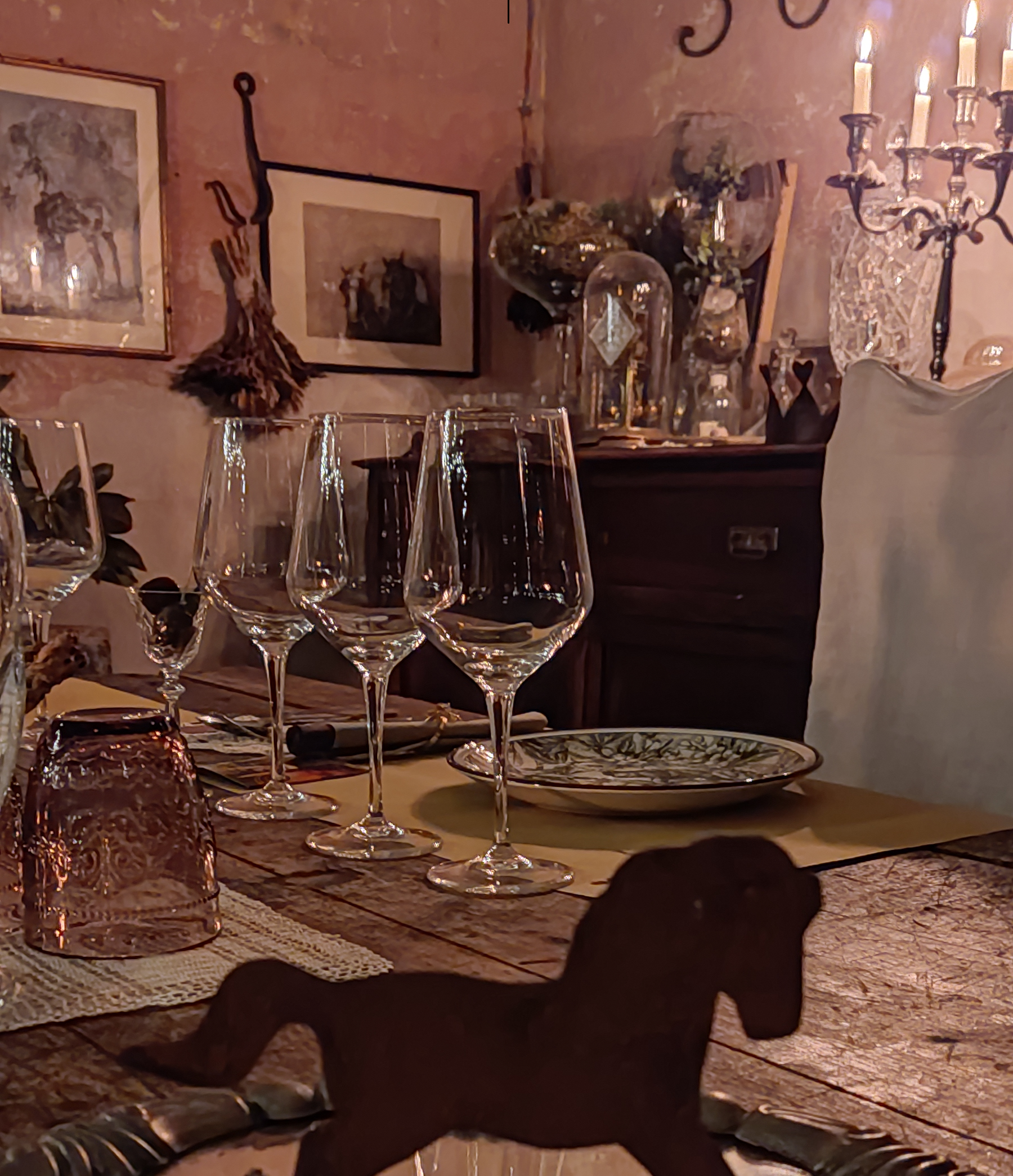 degustazioni vino