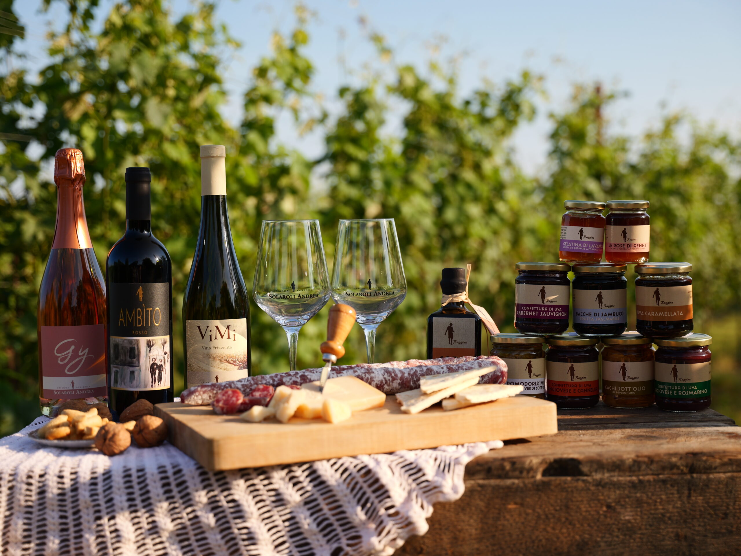 Degustazioni vino in vigna