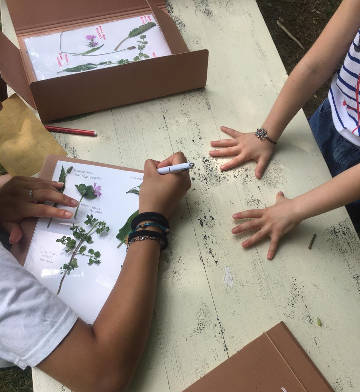 Fattoria didattica erbario per bambini
